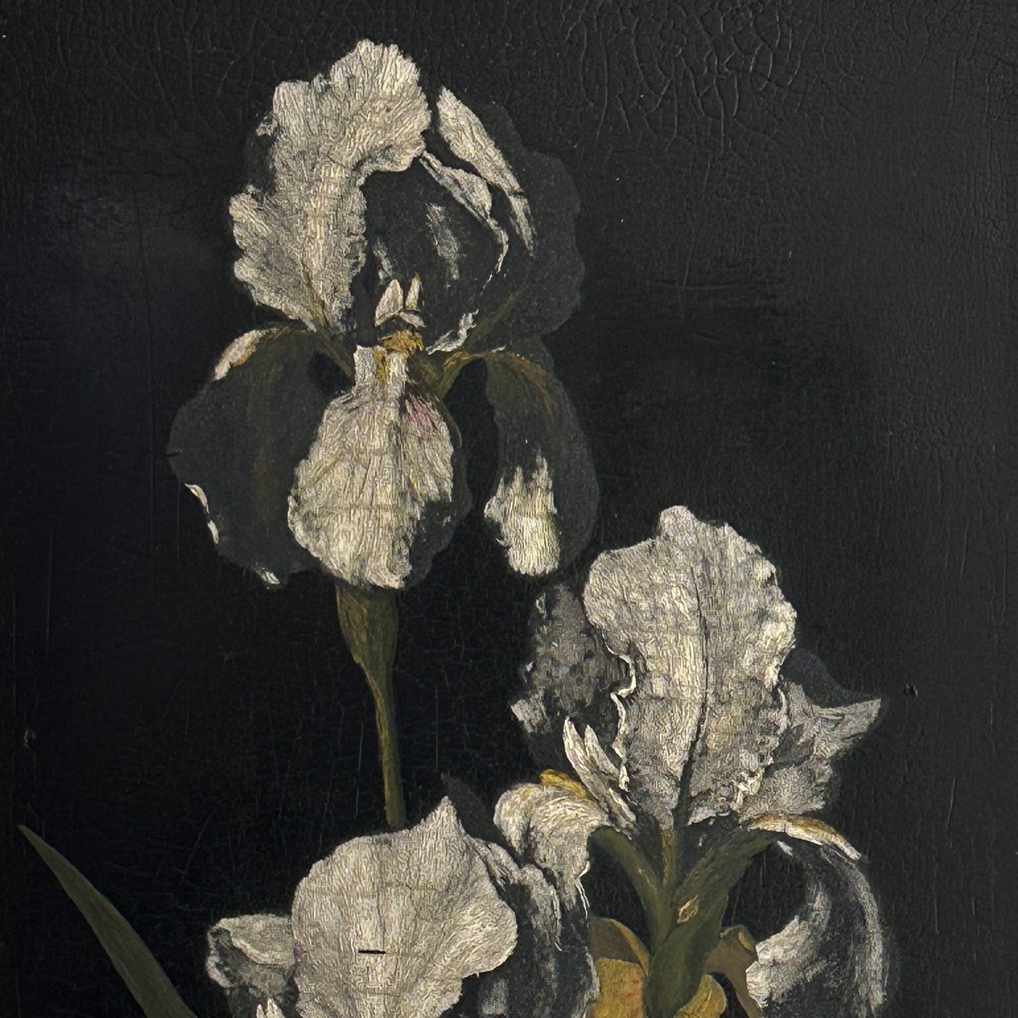 Mid 20th Century Original Oil on Wood Board Iris Framed Painting