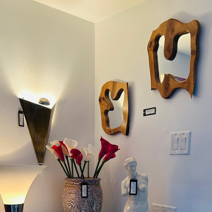 Organic Modern Abstract Wall Mirror Pair