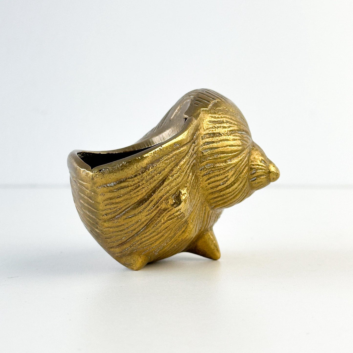 Brass Conch and Nautilus Seashell Ashtray Set