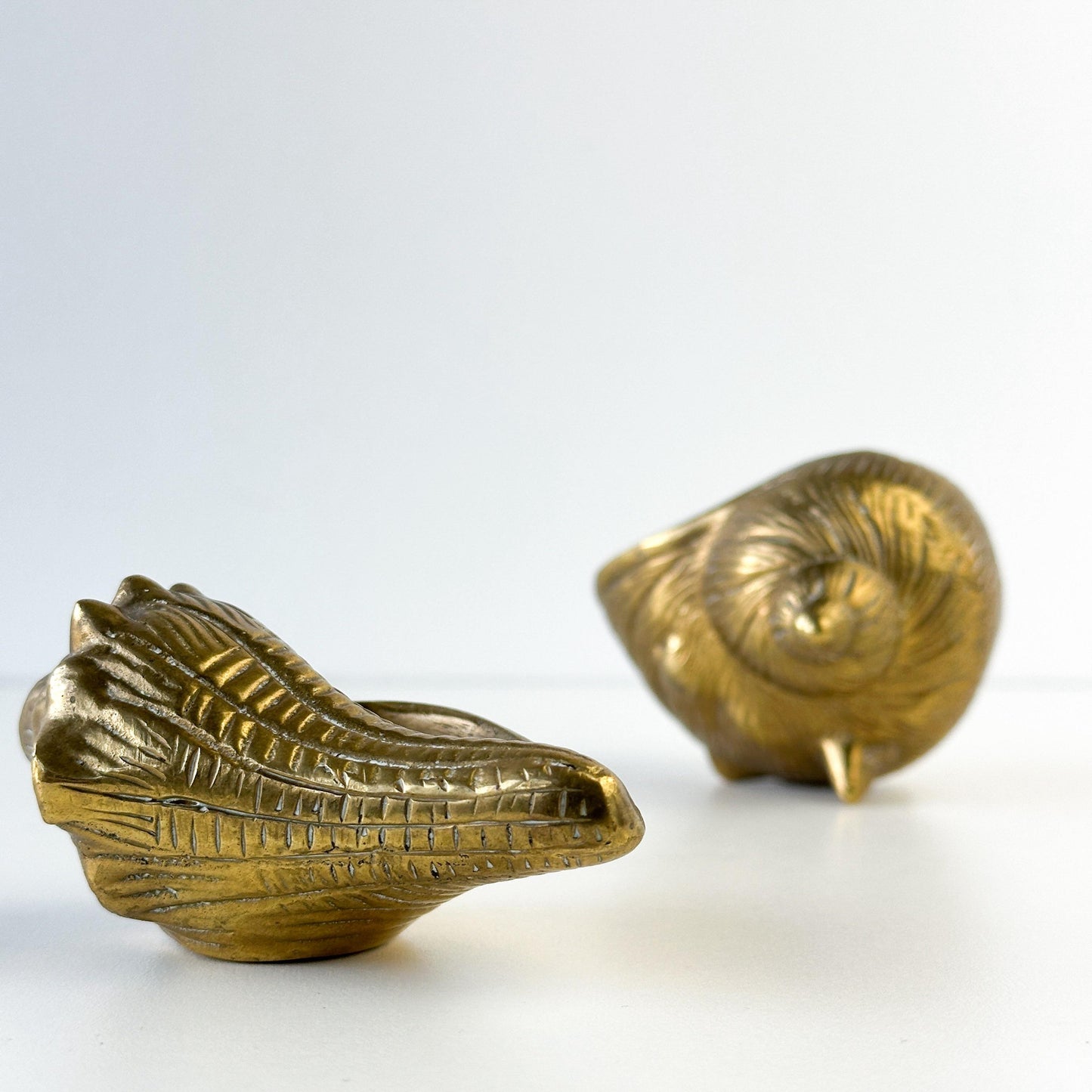 Brass Conch and Nautilus Seashell Ashtray Set