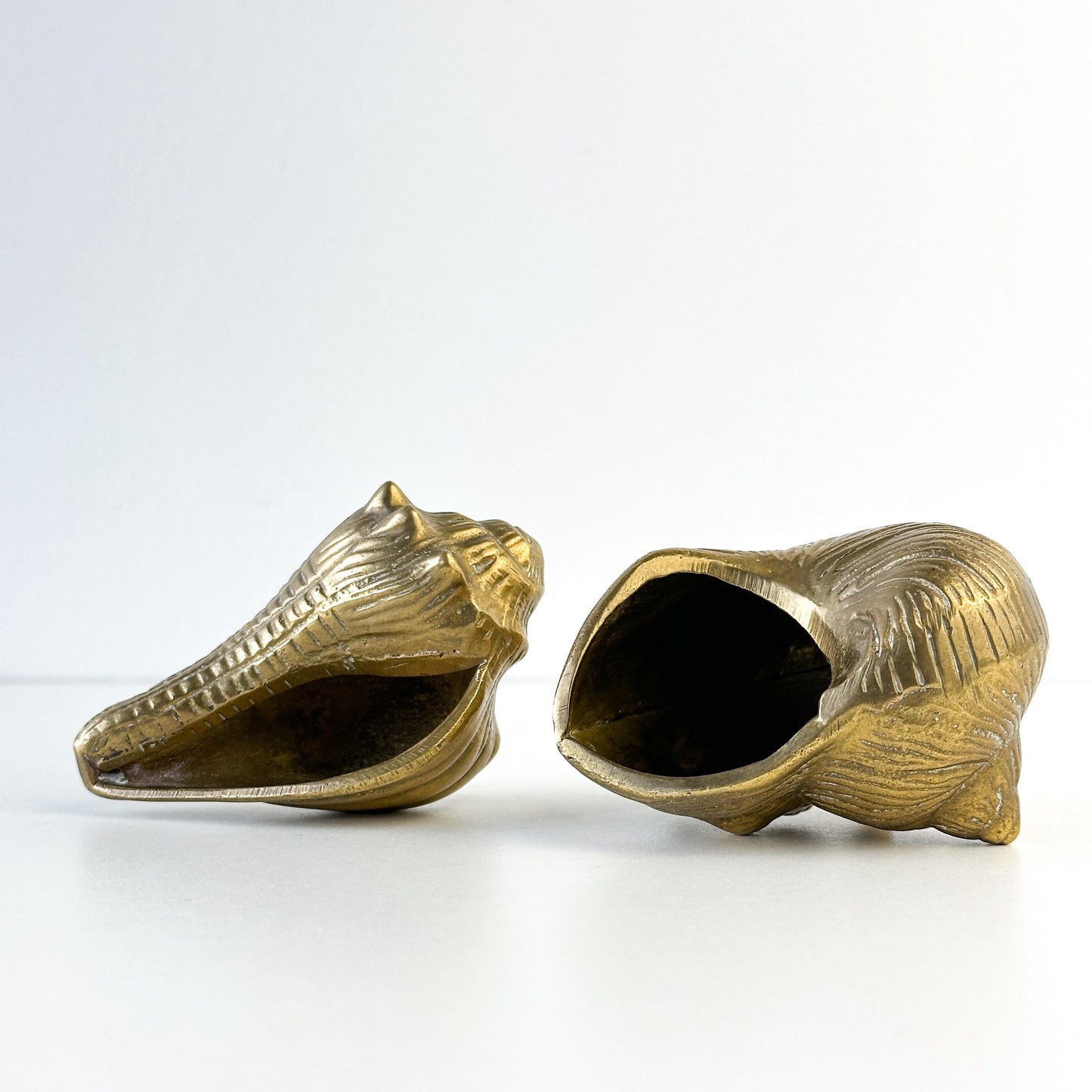 Brass Conch and Nautilus Seashell Ashtray Set